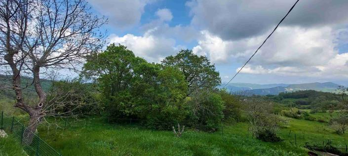 Image No.49-5 Bed Country Property for sale