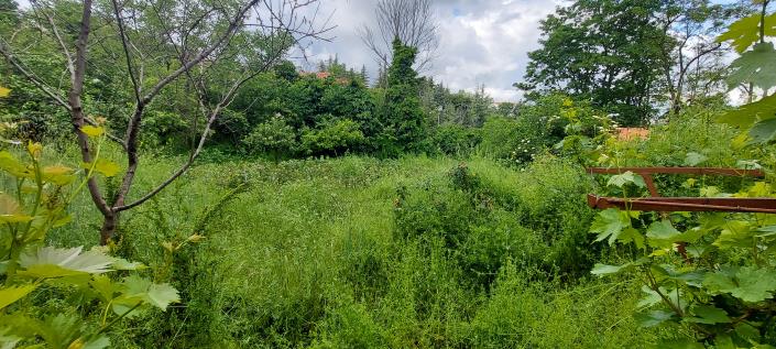 Image No.15-Maison / Villa de 4 chambres à vendre à Torricella Peligna