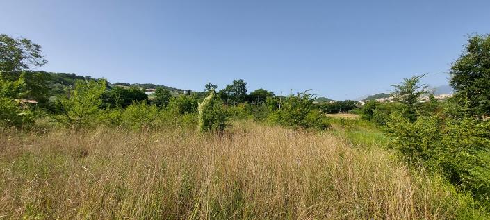 Image No.5-Land for sale