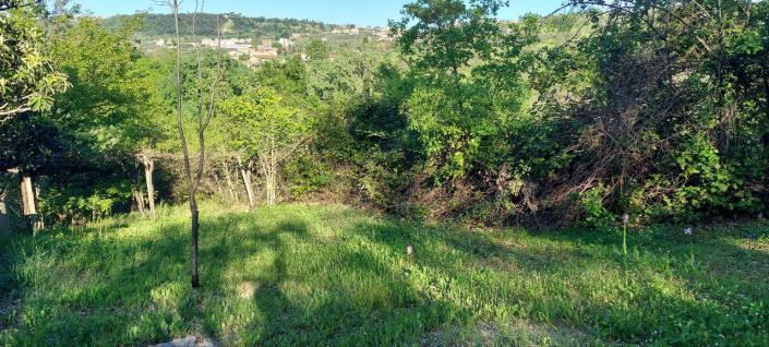 Image No.50-4 Bed Villa for sale