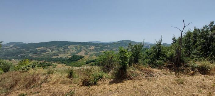 Image No.5-2 Bed Country Property for sale