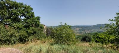 WhatsApp-Image-2023-08-25-at-08-06-45--2-