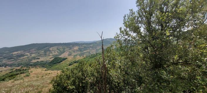 Image No.30-2 Bed Country Property for sale