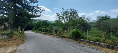 msg5708171899-101494