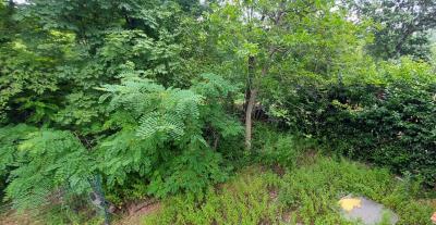 msg5708171899-101504