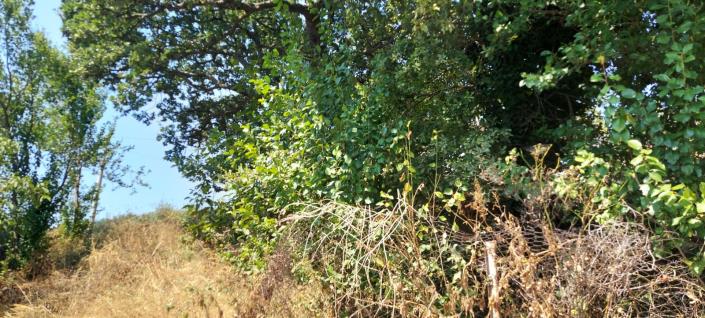 Image No.42-3 Bed Country Property for sale