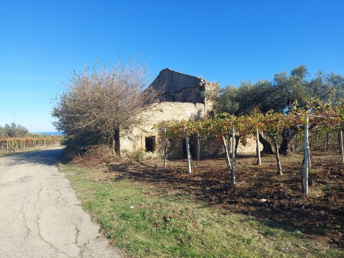 Image No.2-Plot for sale