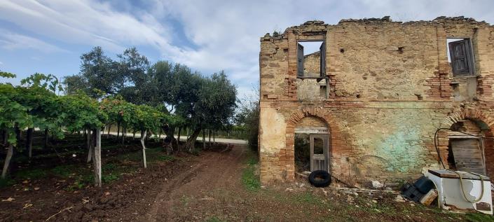 Image No.5-Plot for sale