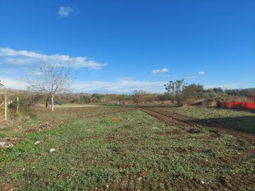 WhatsApp-Image-2023-11-29-at-11-51-10