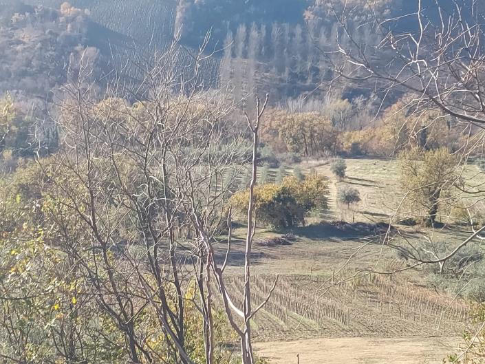 Image No.38-Country House for sale