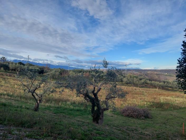 Image No.13-Maison de campagne de 4 chambres à vendre à Castél Frentano