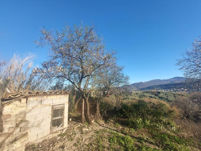 Image No.32-Maison de campagne de 1 chambre à vendre à Casoli