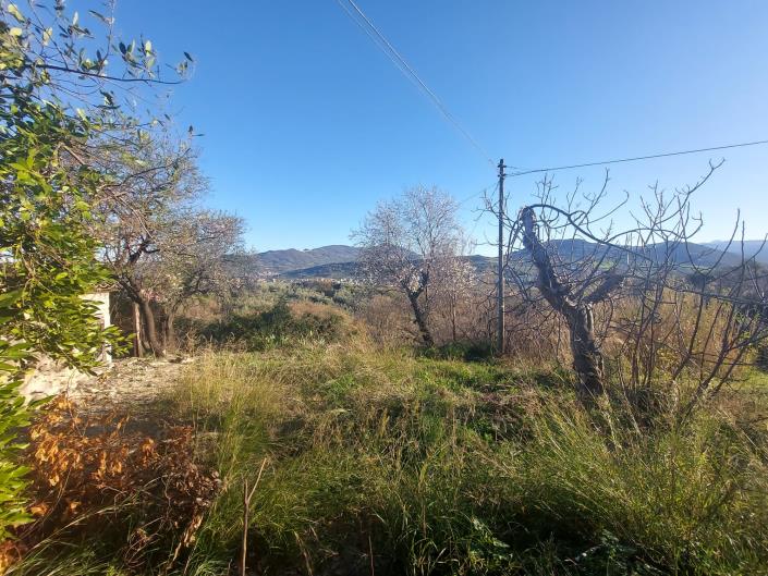 Image No.33-Maison de campagne de 1 chambre à vendre à Casoli