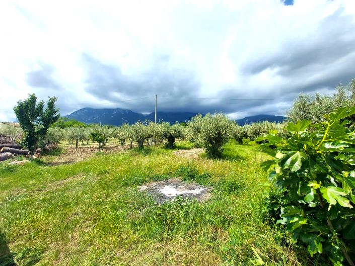 Image No.5-2 Bed Villa / Detached for sale