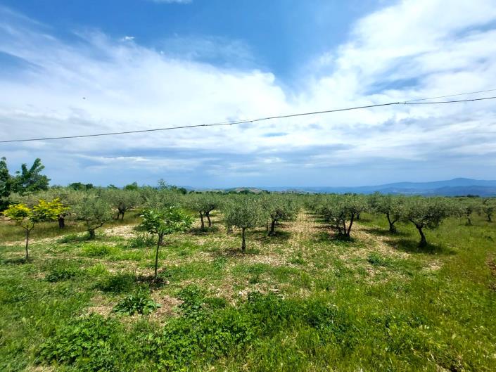 Image No.60-2 Bed Villa / Detached for sale