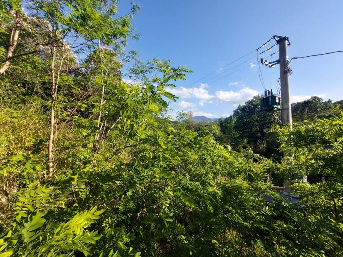 Image No.51-2 Bed Apartment for sale