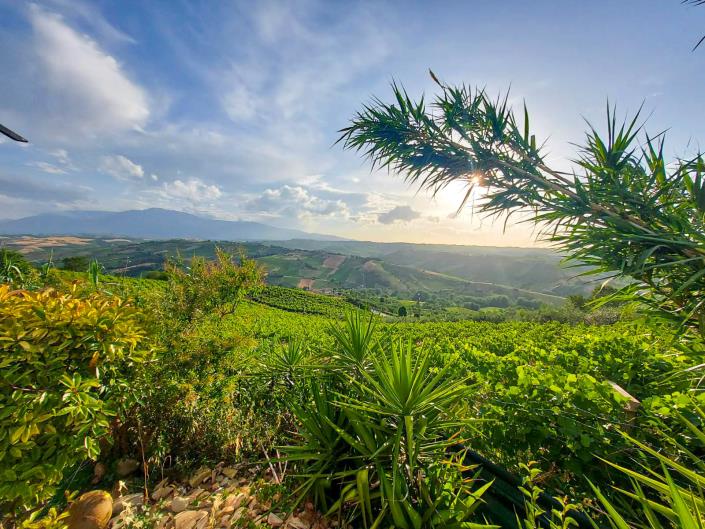 Image No.44-Maison / Villa de 3 chambres à vendre à Lanciano