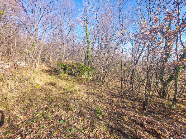 Image No.56-1 Bed Villa / Detached for sale