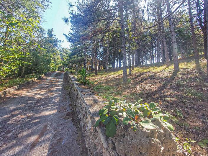 Image No.7-5 Bed Villa for sale