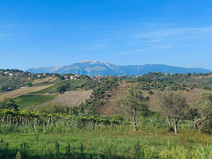 Image No.5-Propriété à vendre à Lanciano