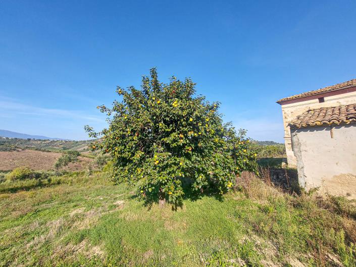 Image No.6-Propriété à vendre à Lanciano