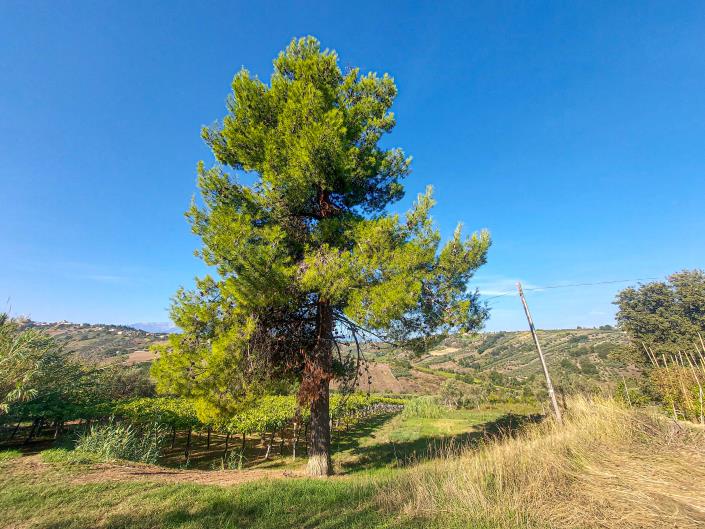 Image No.9-Propriété à vendre à Lanciano
