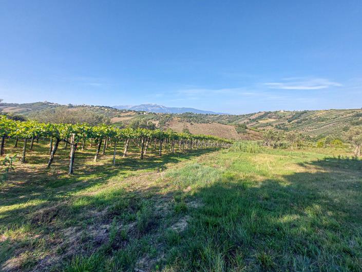 Image No.11-Propriété à vendre à Lanciano