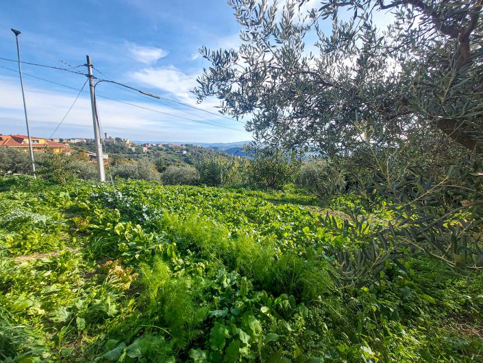 Image No.12-Maison de campagne de 3 chambres à vendre à Palombaro
