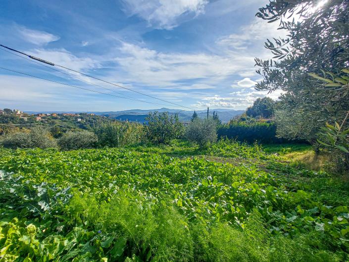 Image No.13-Maison de campagne de 3 chambres à vendre à Palombaro