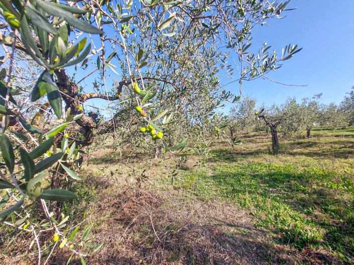 Image No.54-Propriété de pays de 2 chambres à vendre à Sant' Eusanio Del Sangro