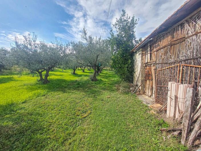 Image No.47-Propriété de pays de 3 chambres à vendre à Civitella Messer Raimondo