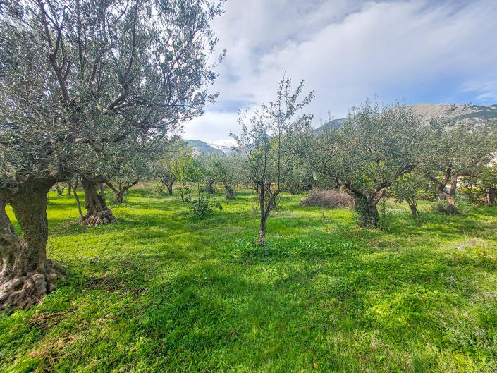 Image No.52-Propriété de pays de 3 chambres à vendre à Civitella Messer Raimondo