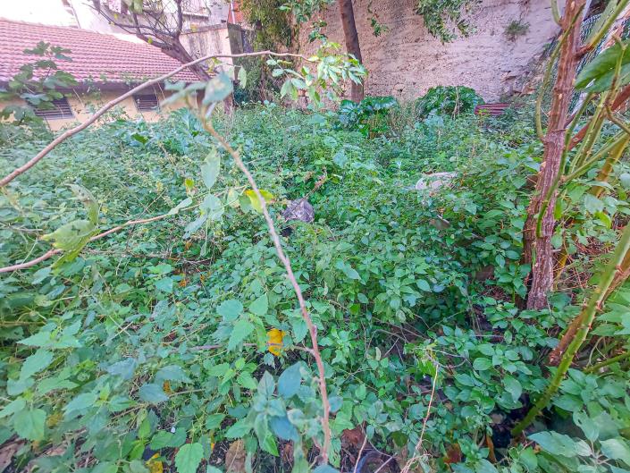 Image No.27-Maison de ville de 1 chambre à vendre à Fara San Martino