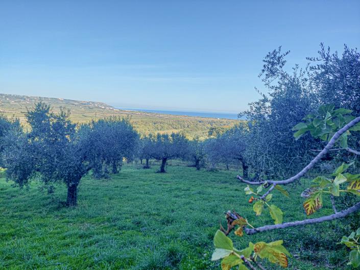 Image No.8-Propriété de pays de 2 chambres à vendre à Torino di Sangro