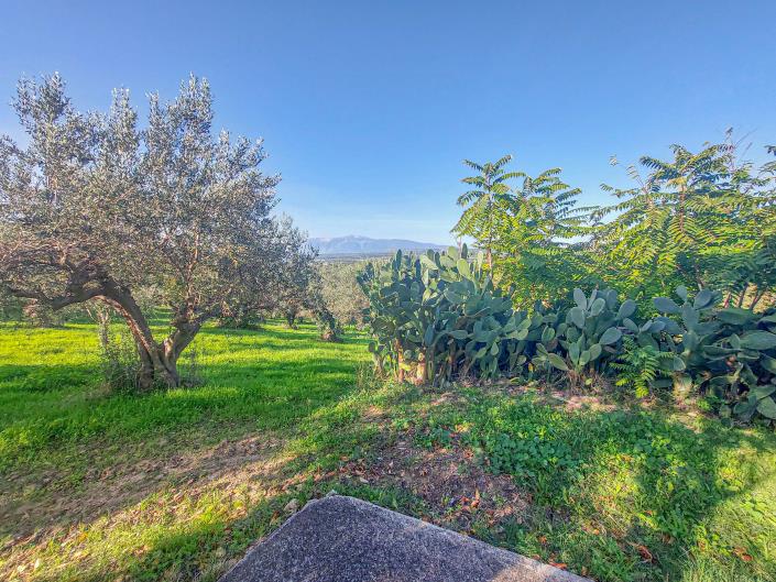 Image No.59-Propriété de pays de 2 chambres à vendre à Torino di Sangro