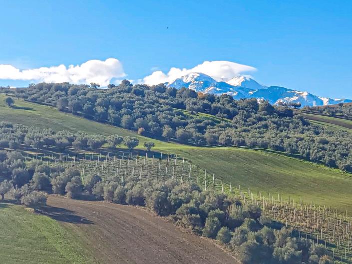 Image No.46-Propriété de pays de 2 chambres à vendre à Sant' Eusanio Del Sangro