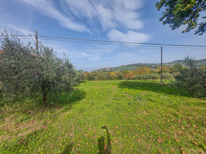 Image No.2-Terre à vendre à Casoli