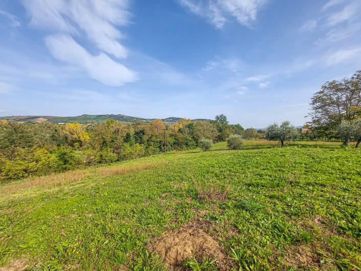 Image No.7-Terre à vendre à Casoli