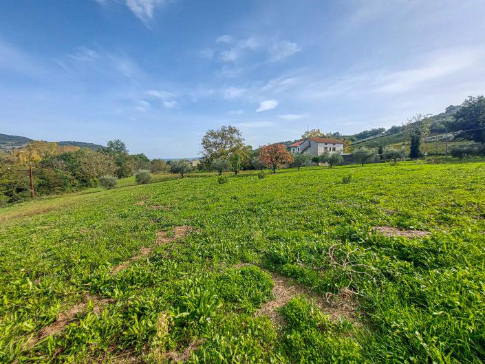 Image No.10-Terre à vendre à Casoli