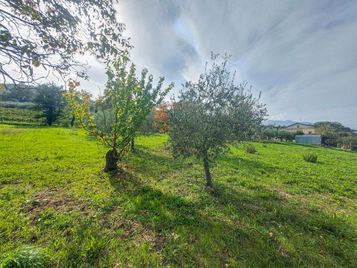 Image No.14-Terre à vendre à Casoli