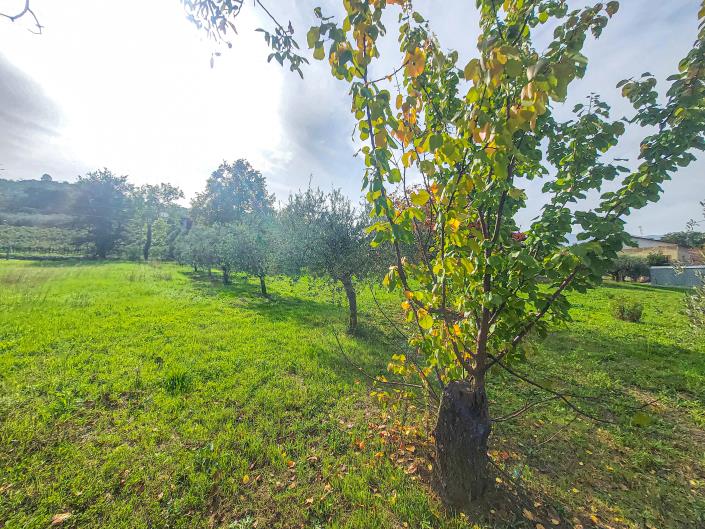 Image No.15-Terre à vendre à Casoli