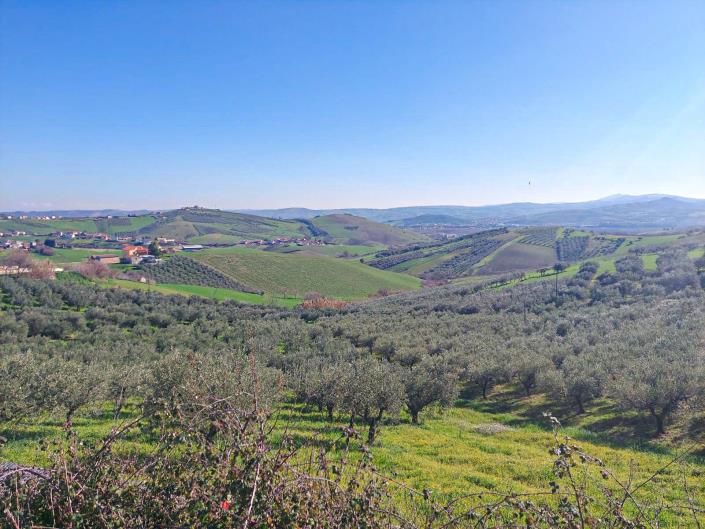 Image No.3-Terre à vendre à Sant' Eusanio Del Sangro