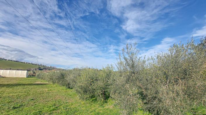 Image No.43-2 Bed Villa / Detached for sale