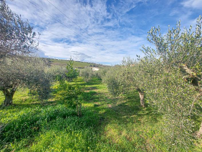 Image No.44-2 Bed Villa / Detached for sale