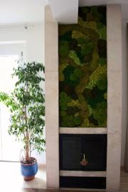 Progetto-senza-titolo--12-