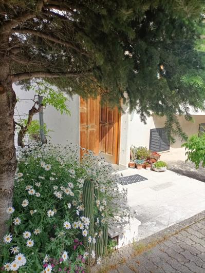 Image No.5-Propriété de pays de 4 chambres à vendre à Gessopalena