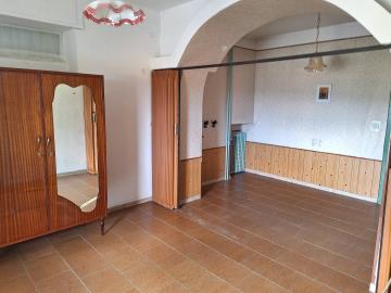 WhatsApp-Image-2025-07-14-at-14-55-38--2-