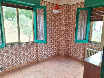 WhatsApp-Image-2025-07-14-at-14-55-39--1-