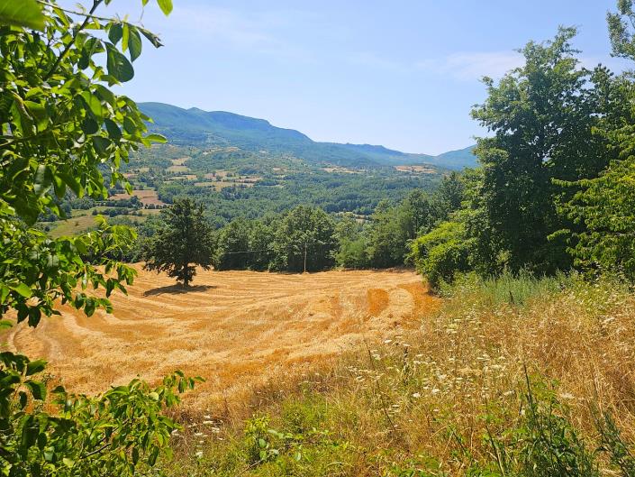 Image No.3-Jumelé de 2 chambres à vendre à Chieti