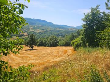 WhatsApp-Image-2025-09-03-at-09-53-38--4-